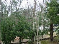 1st image of 18 Flower Hill Dr