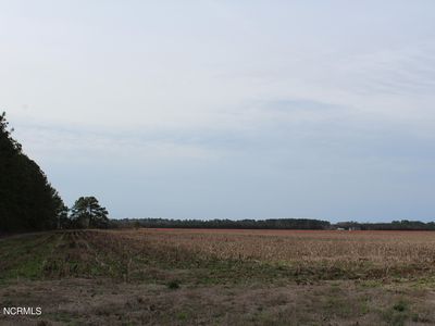 00 Near 695 Blackwell R Road, Chadbourn, NC, 28431