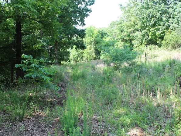 Blue Mountain Road Prairie Grv, Prairie Grove, AR 72753