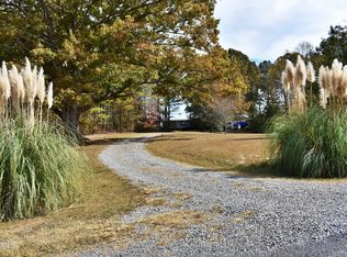 1007 Payne Ln, Spring City, TN 37381