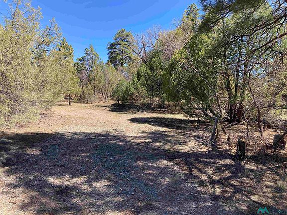 3rd image of Doe Rim Loop