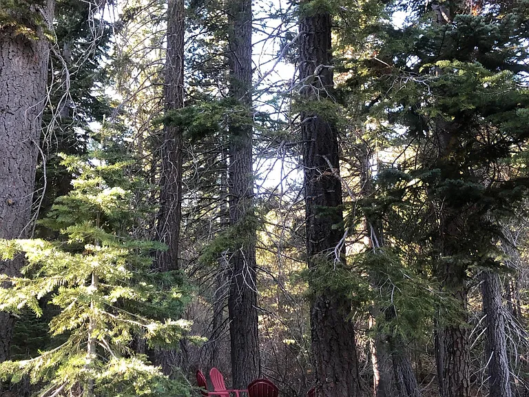 Snowpeak Way — Photo 15