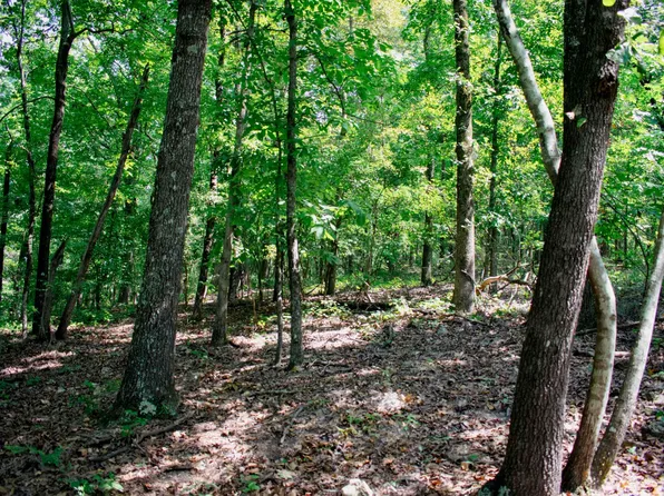 0 Mountain View Ter #11, Talladega, AL 35160