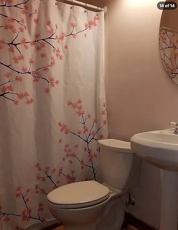 2 bed, 780 sqft, $1,500 — Photo 4