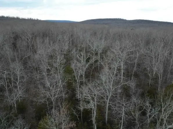 0 Buck Mountain Rd, Doe Run, MO 63637