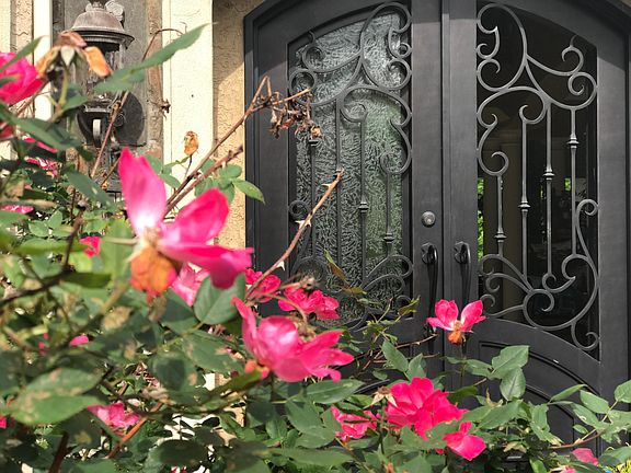 front door view spring 