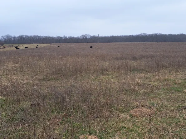 000 Johns Ford Road, Rogersville, MO 65742