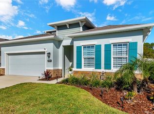 29271 Sedgeway Blvd, Wesley Chapel, FL 33544