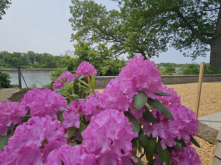 10 Riverfront #1 — Photo 14