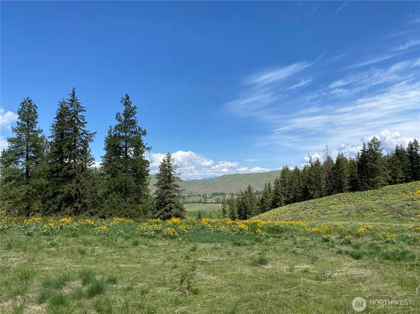 102 Elbow Canyon Road, Twisp, WA 98856