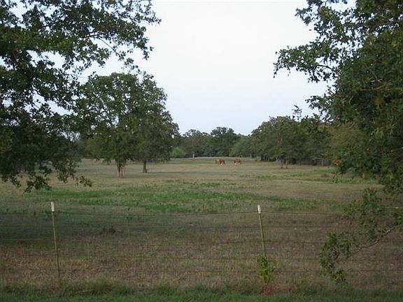 4th image of 18033 County Road 4065