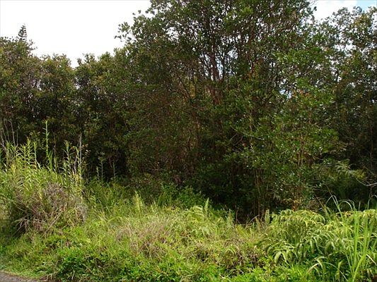 2nd image of 40th St Lot 46