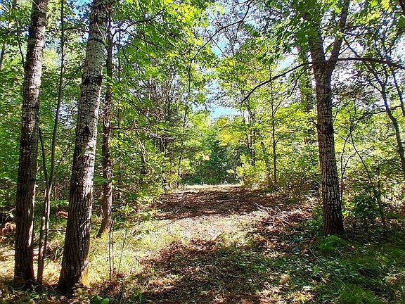 2nd image of 18 W Rapids Rd Lot 18