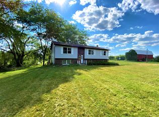 3386 S Ionia Rd, Bellevue, MI 49021