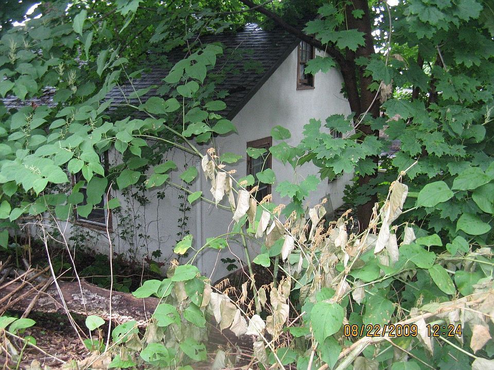 2nd image of 8 Hamilton Pl