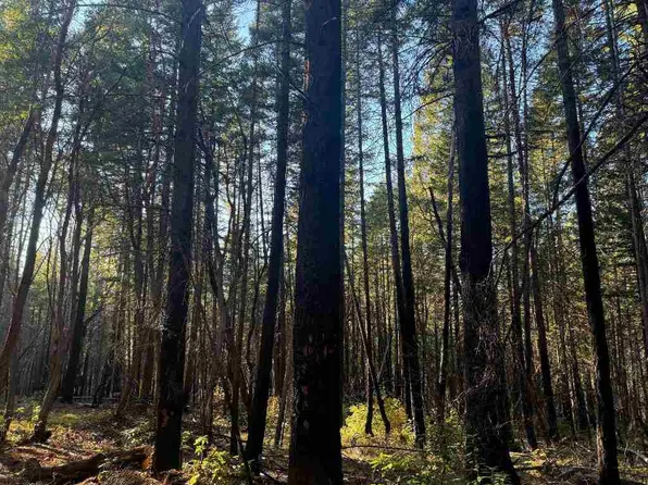 Cade Mountain 19n01 Forest Rd, Happy Camp, CA 96039