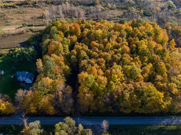 1 Decker Rd #15, Livonia, NY 14487