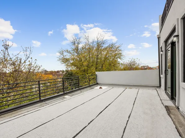 88 Marion Street image 10 of 11