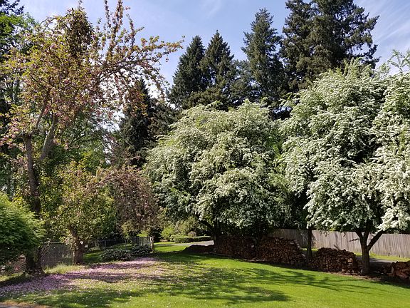 4th image of 4703 NE 130th St
