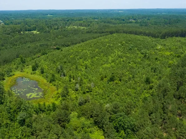 Blanton Rd, Oakman, AL 35579