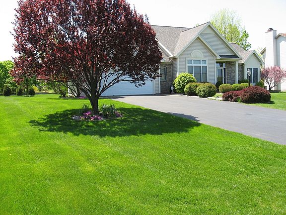 Spring of '08 looking towards the South West.
