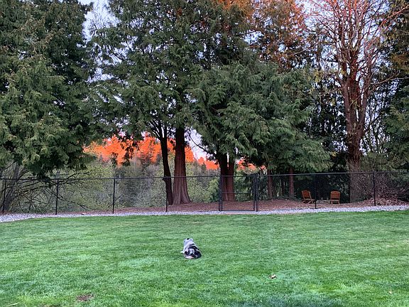 Private peaceful views!