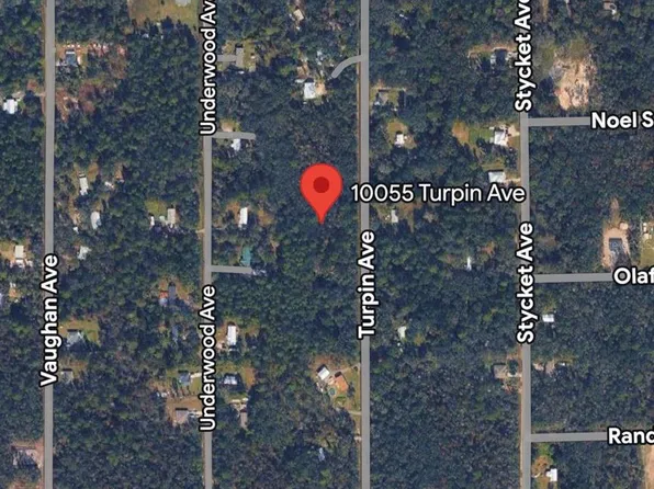 10055 TURPIN AVENUE, HASTINGS, FL 32145