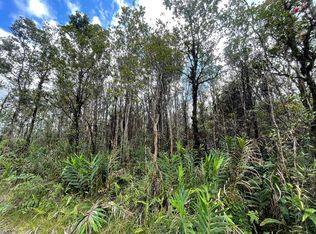 11-2435 Kokokahi Rd LOT 3, Volcano, HI 96785