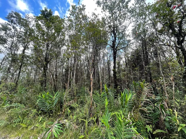 11-2435 Kokokahi Rd Lot 3, Volcano, HI 96785