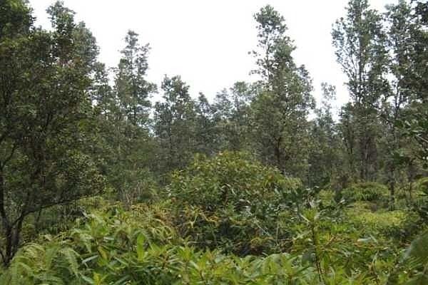 1st image of 21st Avenue Mikana Lot 1302
