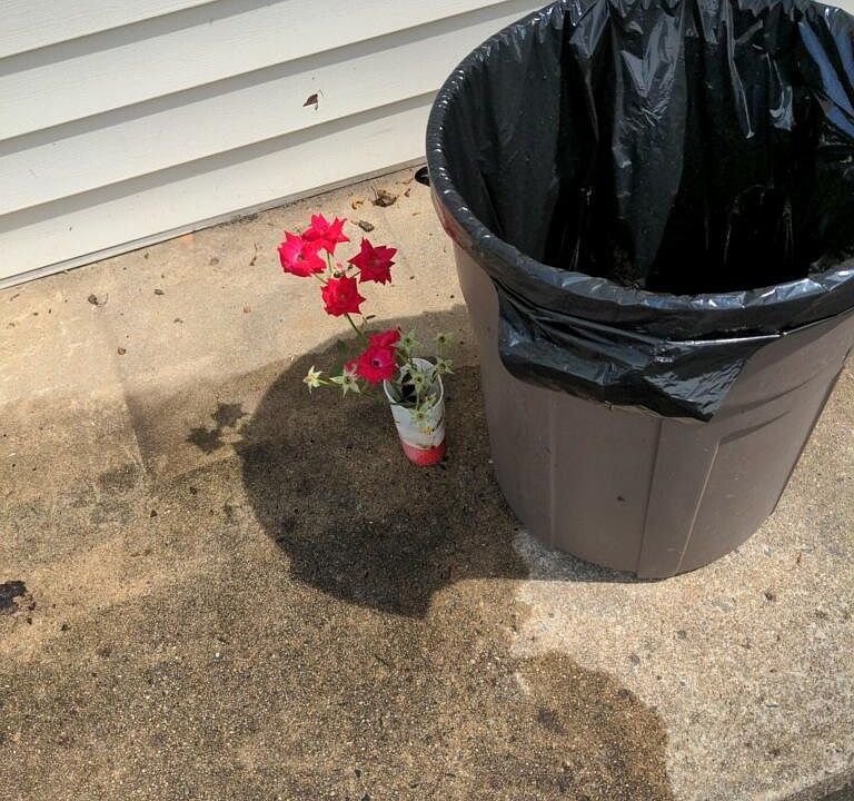 Rosebushes Clippings
