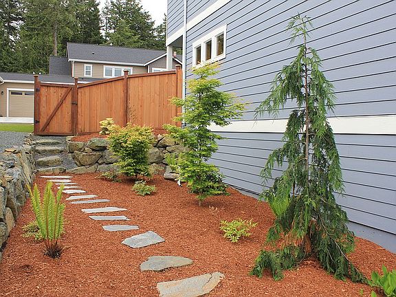 Left Side Yard