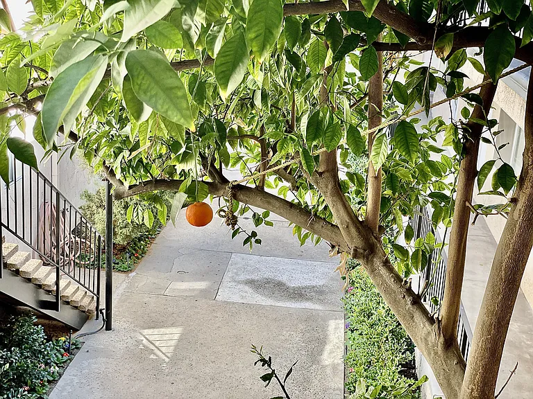 Encino Town & Country — Photo 5