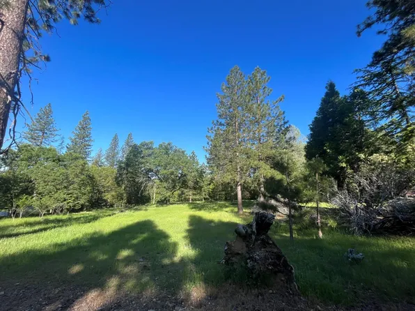 5049 Shooting Star Rd, Pollock Pines, CA 95726