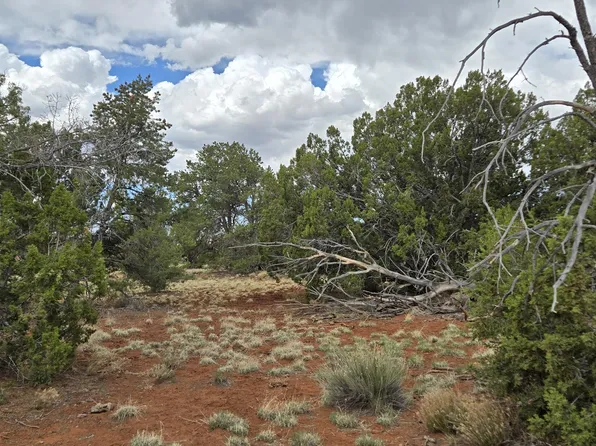 5666 Lasso Loop, Williams, AZ 86046