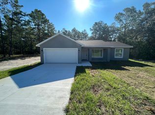 193 Bay Rd, Ocklawaha, FL 32179