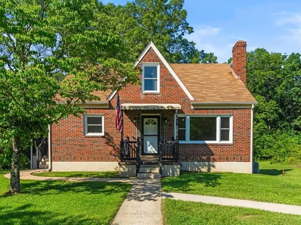 384 Amelon Rd, Madison Heights, VA 24572