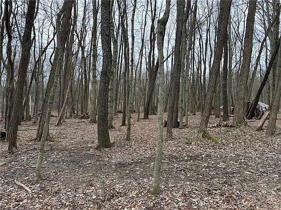 4th image of 0 Saxonburg Rd