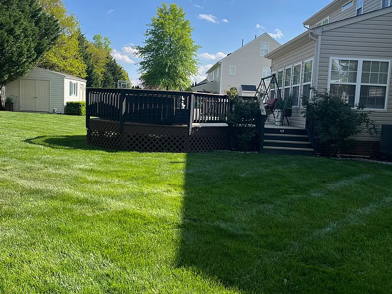 124 Point Hollow Pl — Photo 3
