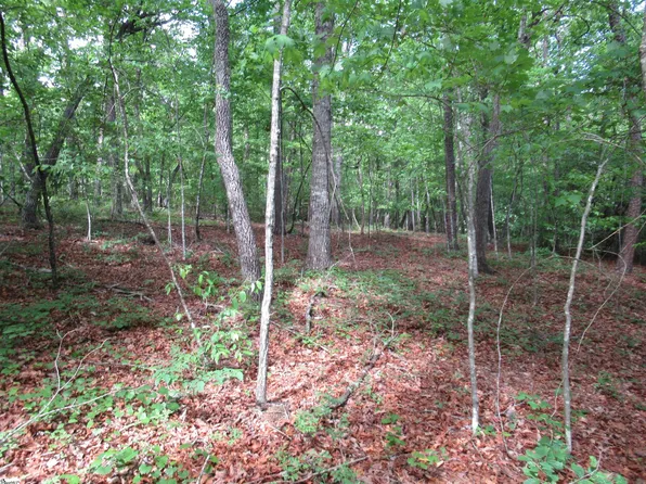 0 Raven Ct Lot 35, Cleveland, SC 29635