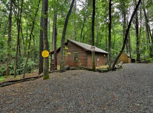 17 Chapman Lake Trl, Blue Ridge, GA 30513