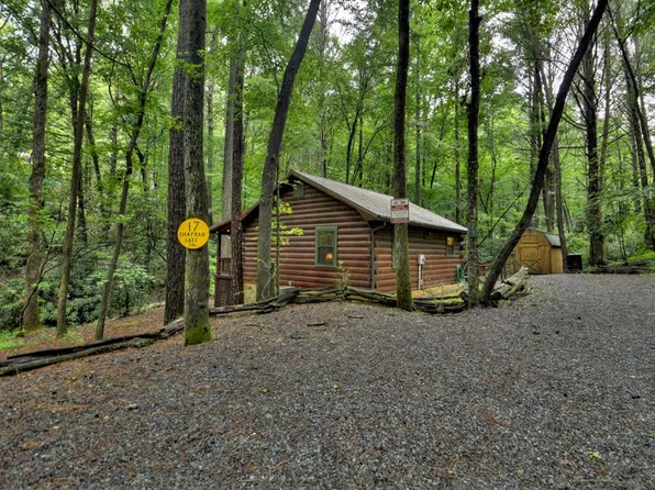 17 Chapman Lake Trl, Blue Ridge, GA 30513