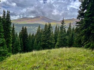 332 Goldfinch Pl, Alma, CO 80420