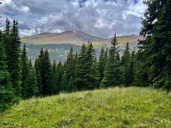 332 Goldfinch Pl, Alma, CO 80420