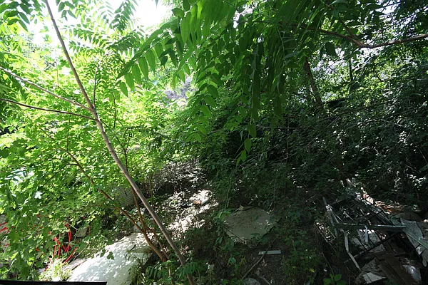 Rented by Rental Solutions Inc | media 6