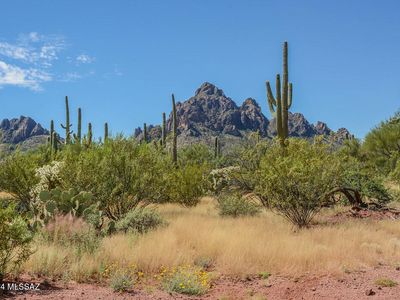 No Address, Marana, AZ, 85653