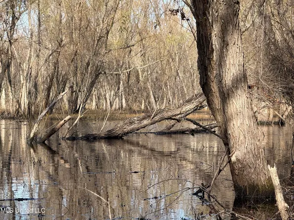 1 Bland Rd, Lambert, MS 38643