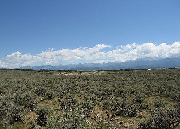 1st image of Pinto Ln