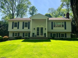 10 Darlene Ct, Randolph, NJ
