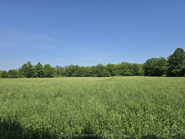 0 Shannonville Rd, Tyendinaga, ON K0K 3A0